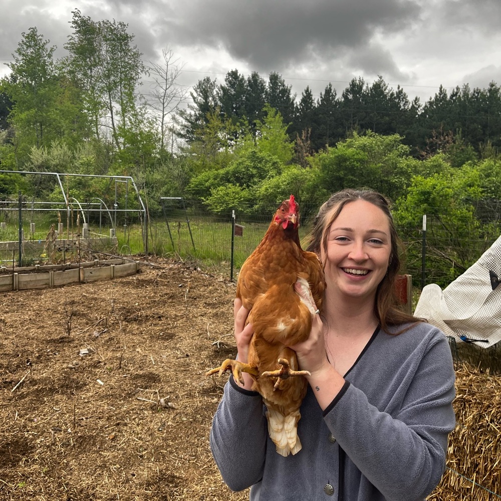 Meet your Posher, Taylor